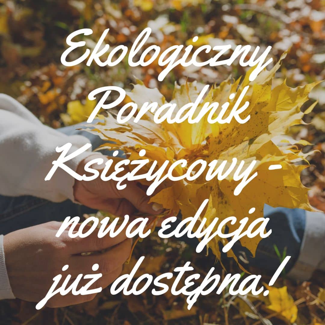 Jesień Fotografia Instagram Post